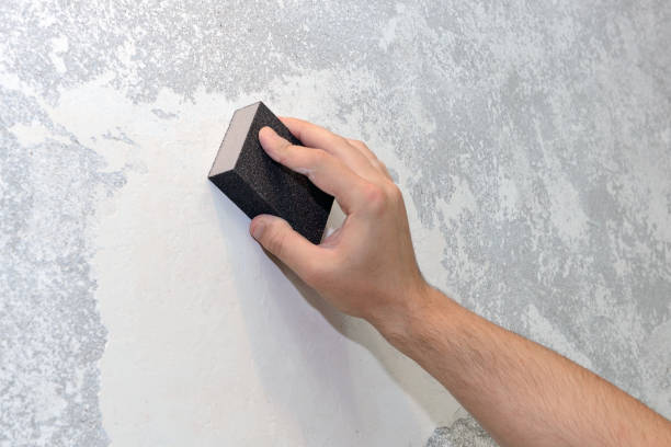 Trusted Sparks, NV Mold Removal Experts