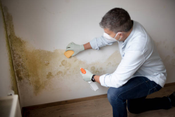 Best Biohazard Mold Removal  in Sparks, NV