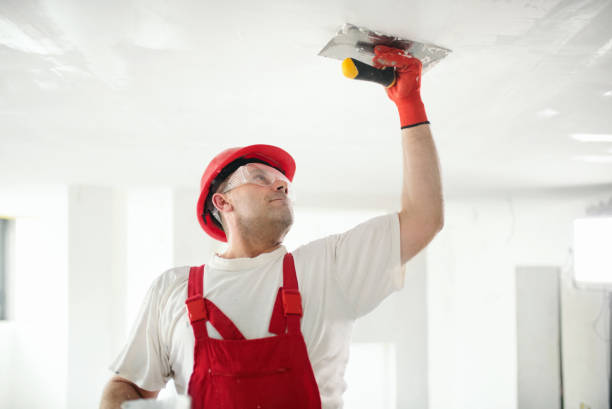 Best Emergency Mold Remediation  in Sparks, NV