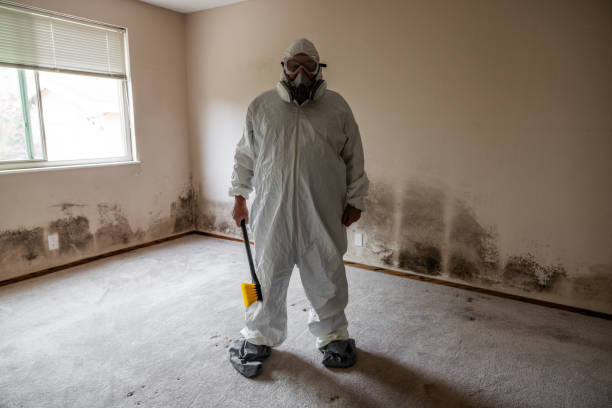 Mold Remediation for Vacation Homes in Sparks, NV