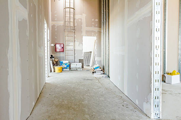 Best Real Estate Mold Inspection  in Sparks, NV